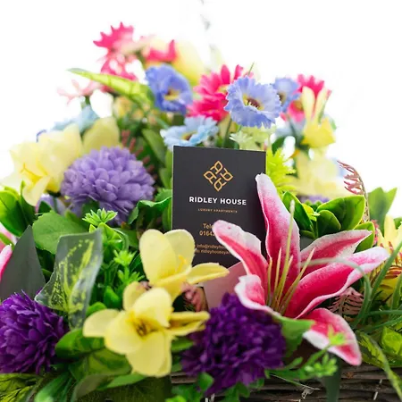 Ridley House Apartament Yarm